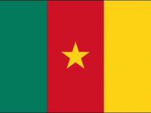 Flag Of Cameroon